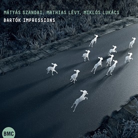 Matyas Szandai